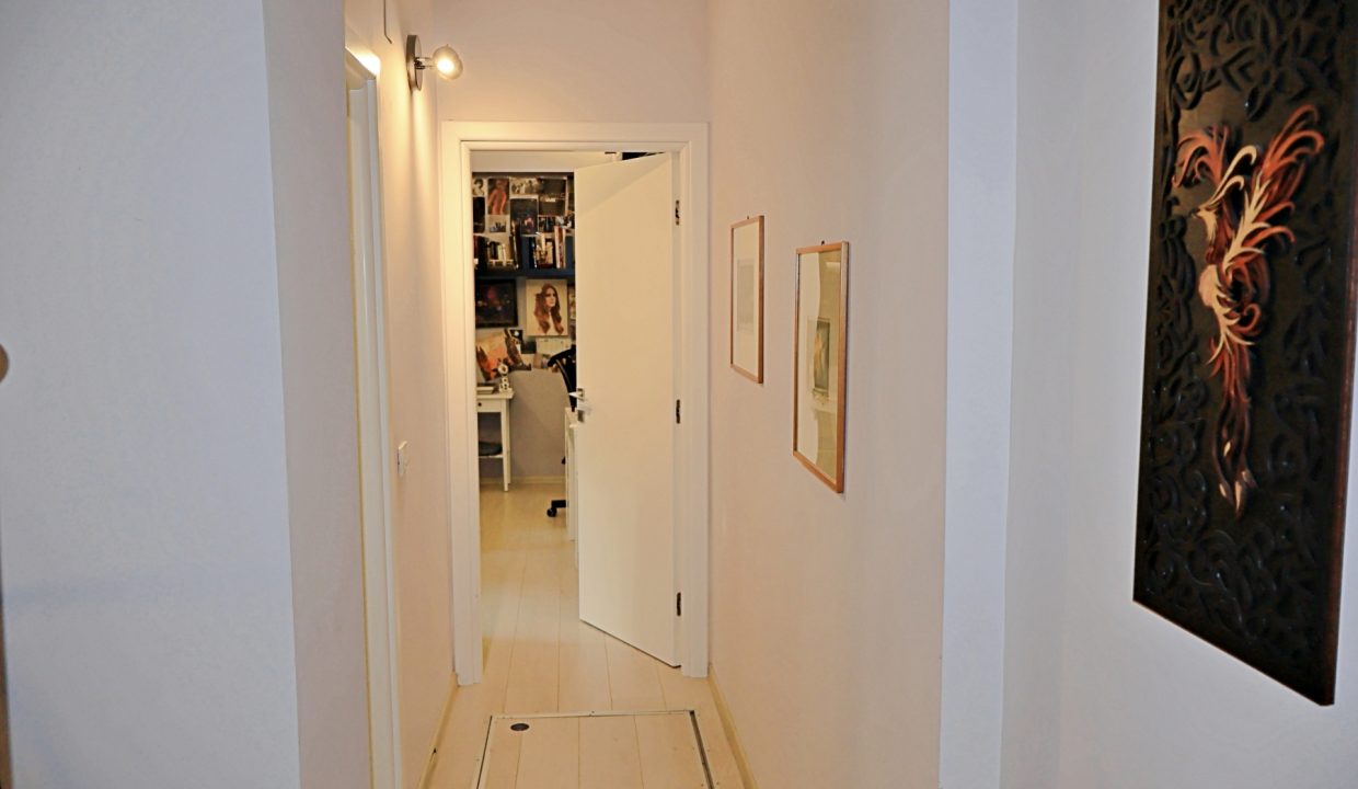 resize_IMG_0555
