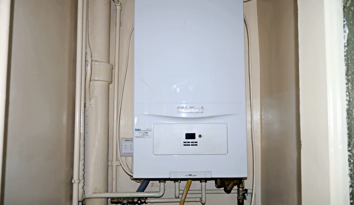 resize_IMG_0642
