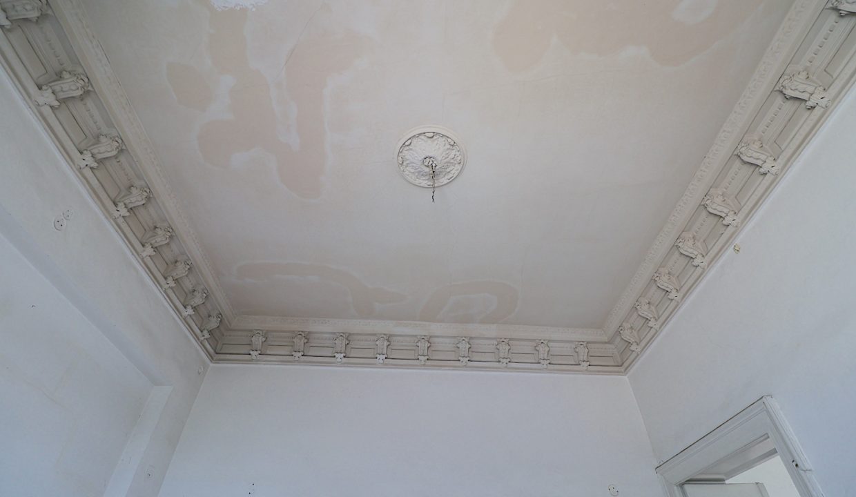 resize_IMG_7239