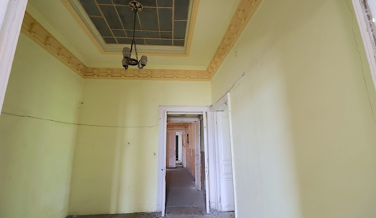 resize_IMG_7246