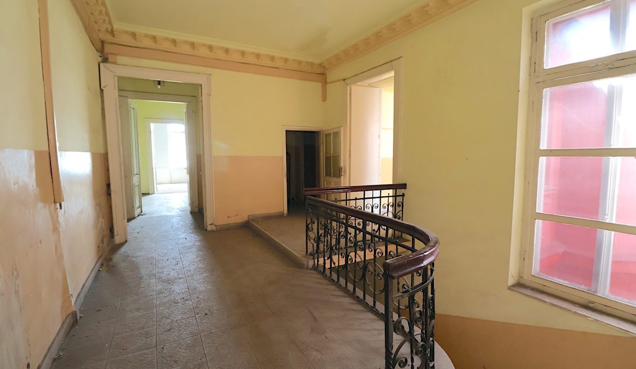 resize_IMG_7264