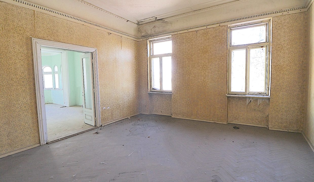 resize_IMG_1974