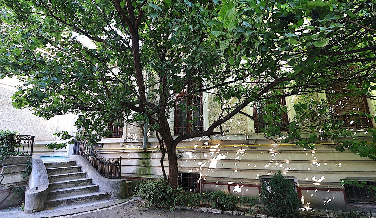 resize_IMG_9860