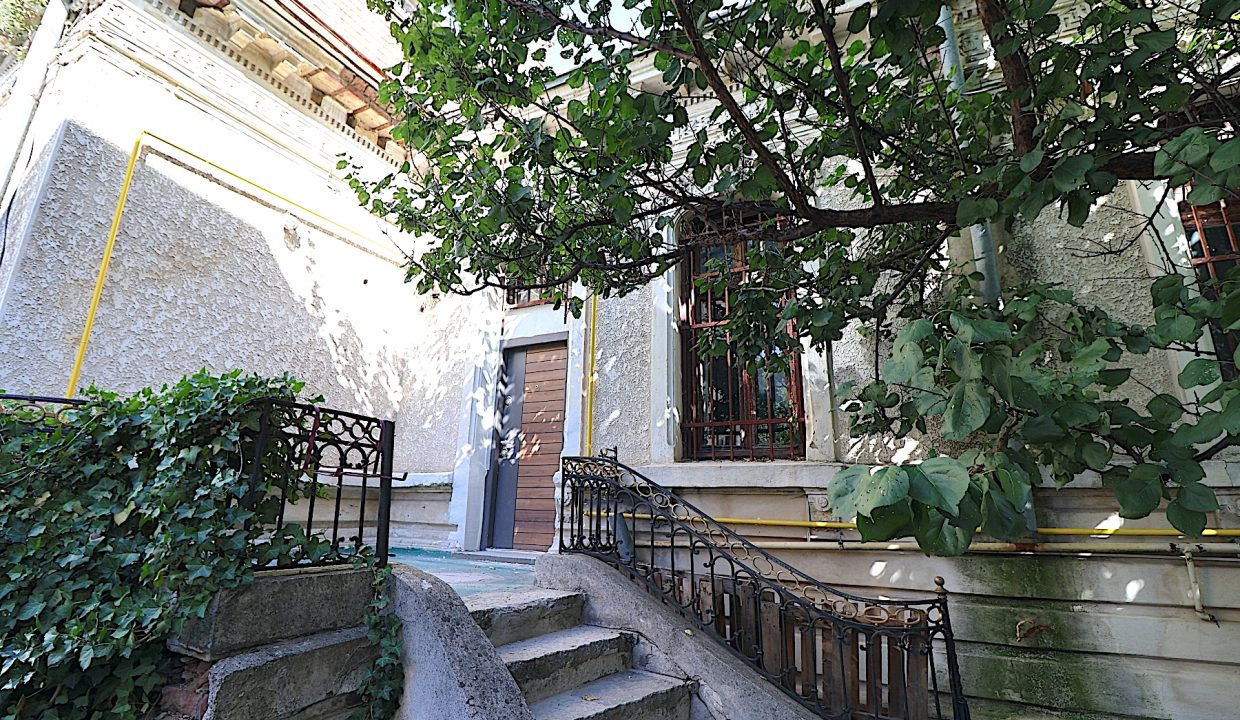 resize_IMG_9864