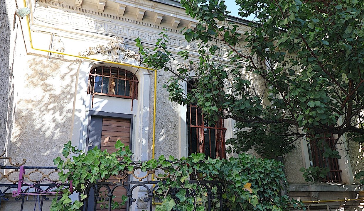 resize_IMG_9874