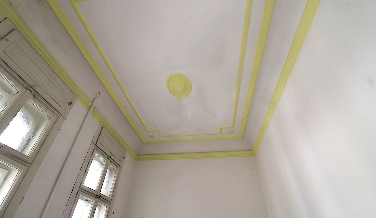 resize_IMG_9888