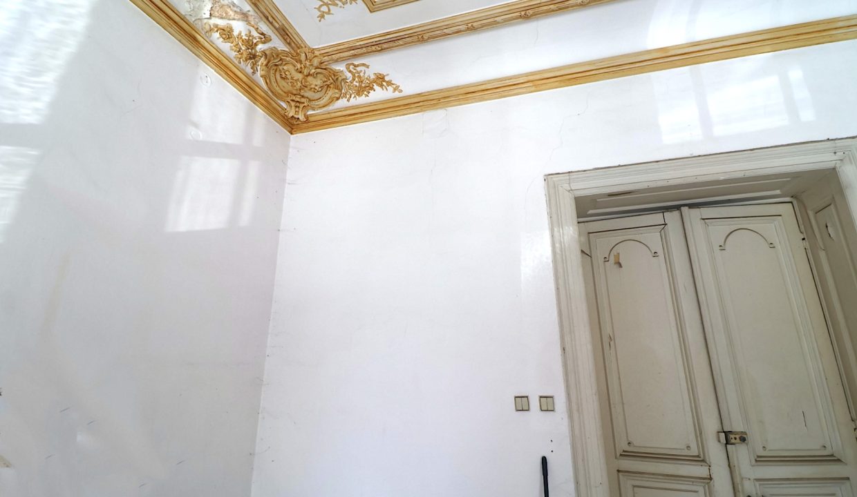resize_IMG_9897