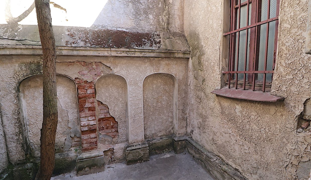 resize_IMG_9908