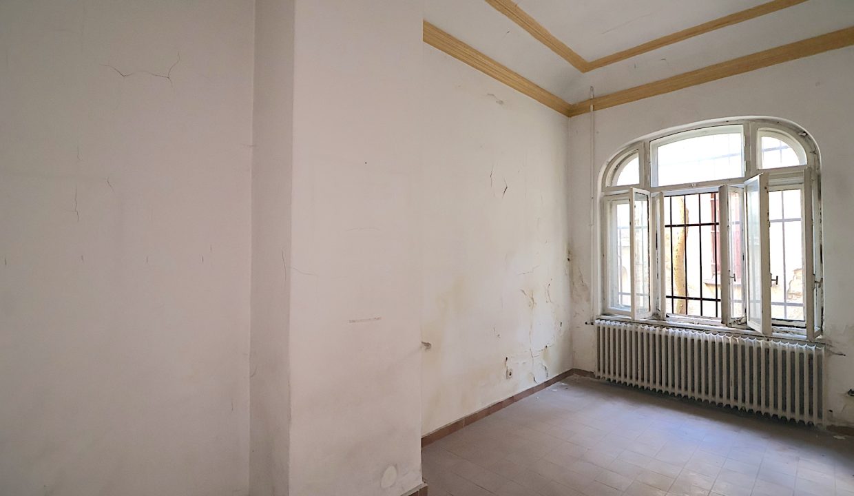 resize_IMG_9912